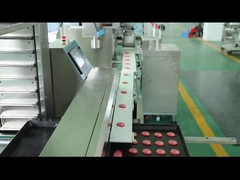 Geschnittene Plätzchen, die Keks-Produktionsmaschine der Maschinerie-100g mit einer Kruste bedecken